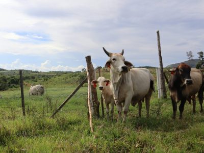 noey-tm-Lkv40bJeYxc-unsplash (1) (1)